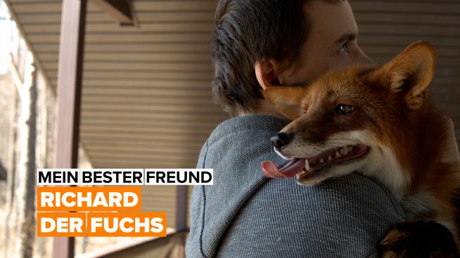 Mein bester Freund: ein Fuchs