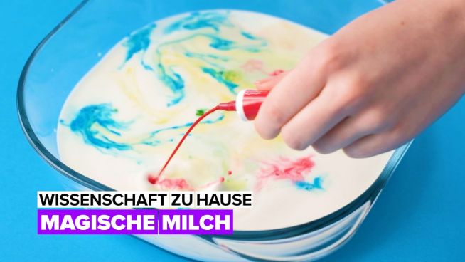 Wissenschaft zu Hause: Magische Milch